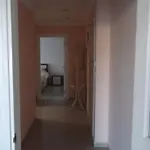 Mitos
